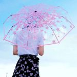 Transparent Umbrella - Image 3