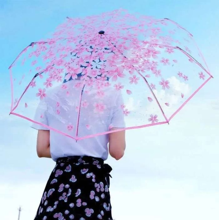 Transparent Umbrella - Image 3