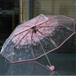 Transparent Umbrella