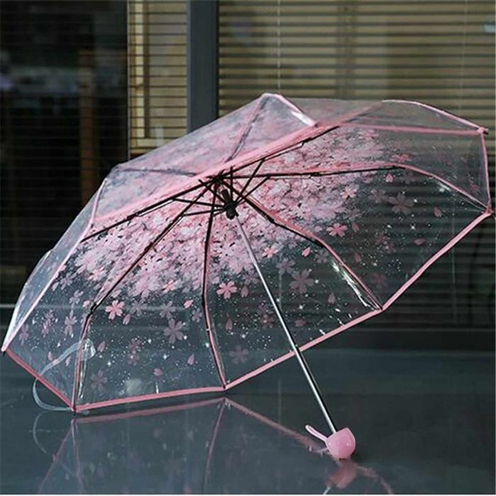 Transparent Umbrella - Image 5