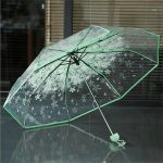 Transparent Umbrella - Image 6