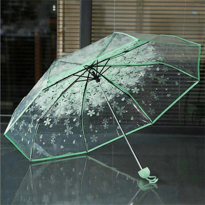 Transparent Umbrella - Image 6